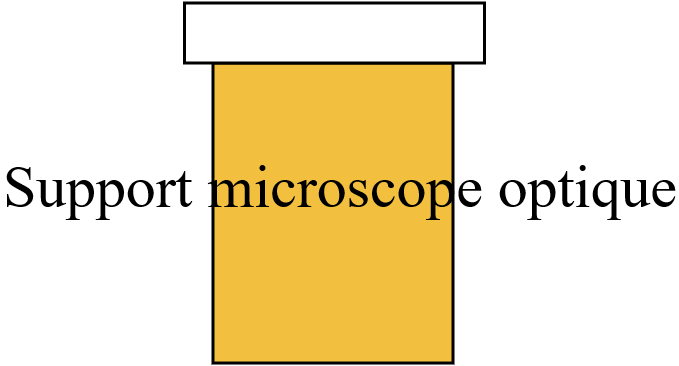 support microscope optique