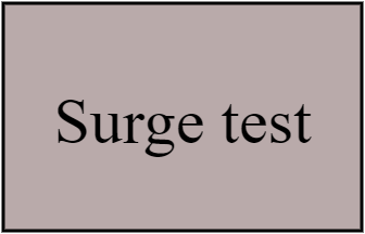 Surge test