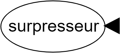 Surpresseur
