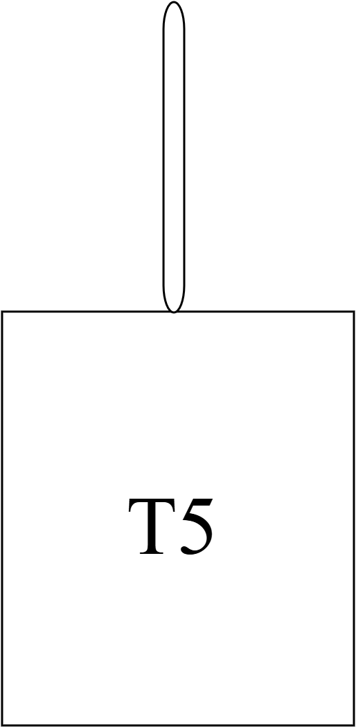 T5