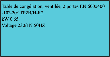 Table de congélation, ventilée, 2 portes EN 600x400 -10°-20° TP2B/H-R2