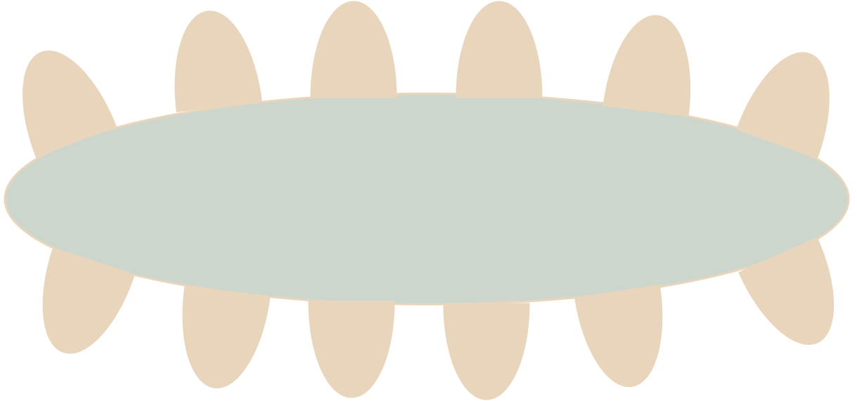 TABLE 12 PAX OVALE 100X400