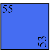 TABLE 55 X53