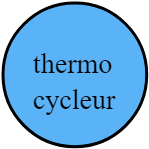 thermocycleur