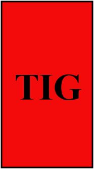 TIG