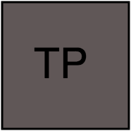 TP