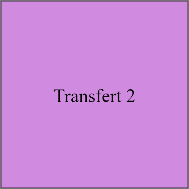 Transfert 2