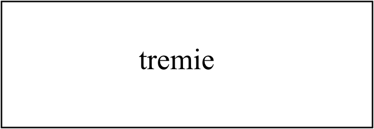 tremie