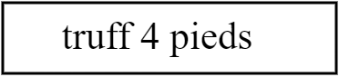 truff 4 pieds