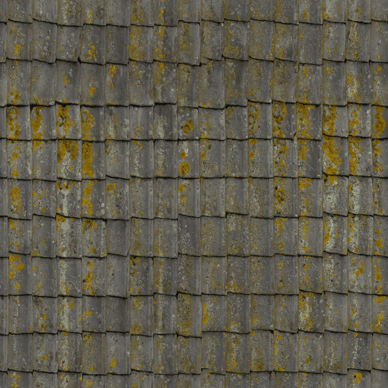 Teja gris liquen