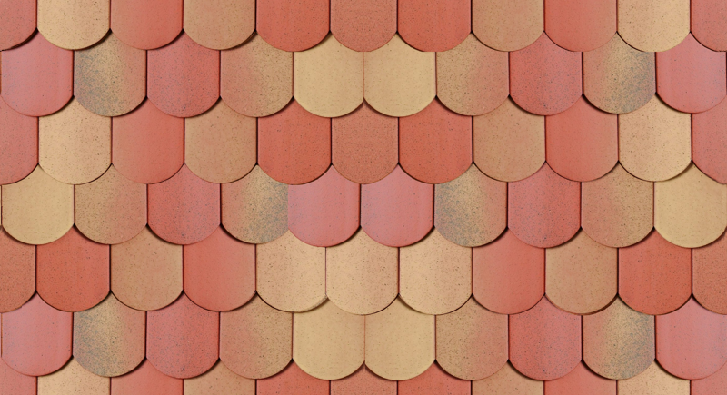 Tuiles écaille
