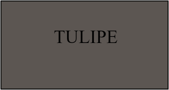 TULIPE