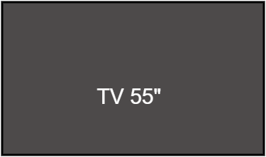 TV 55