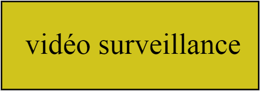 vidéo surveillance
