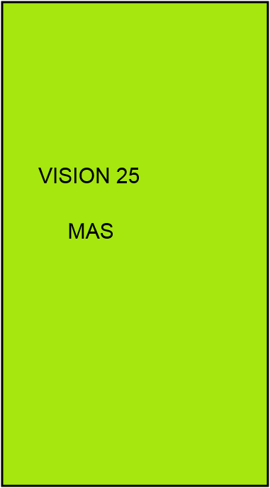 Vision 25