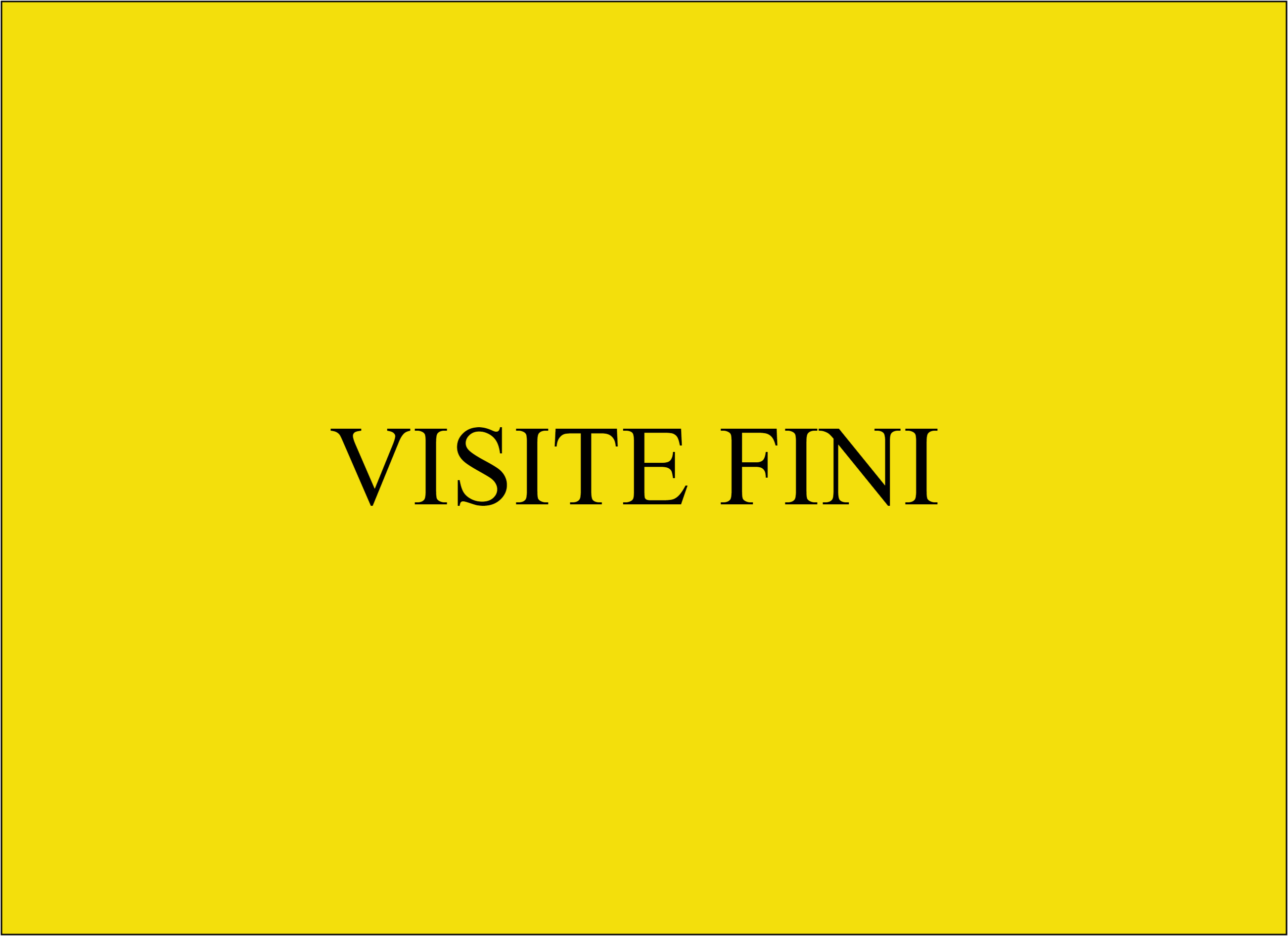 VISITE FINI