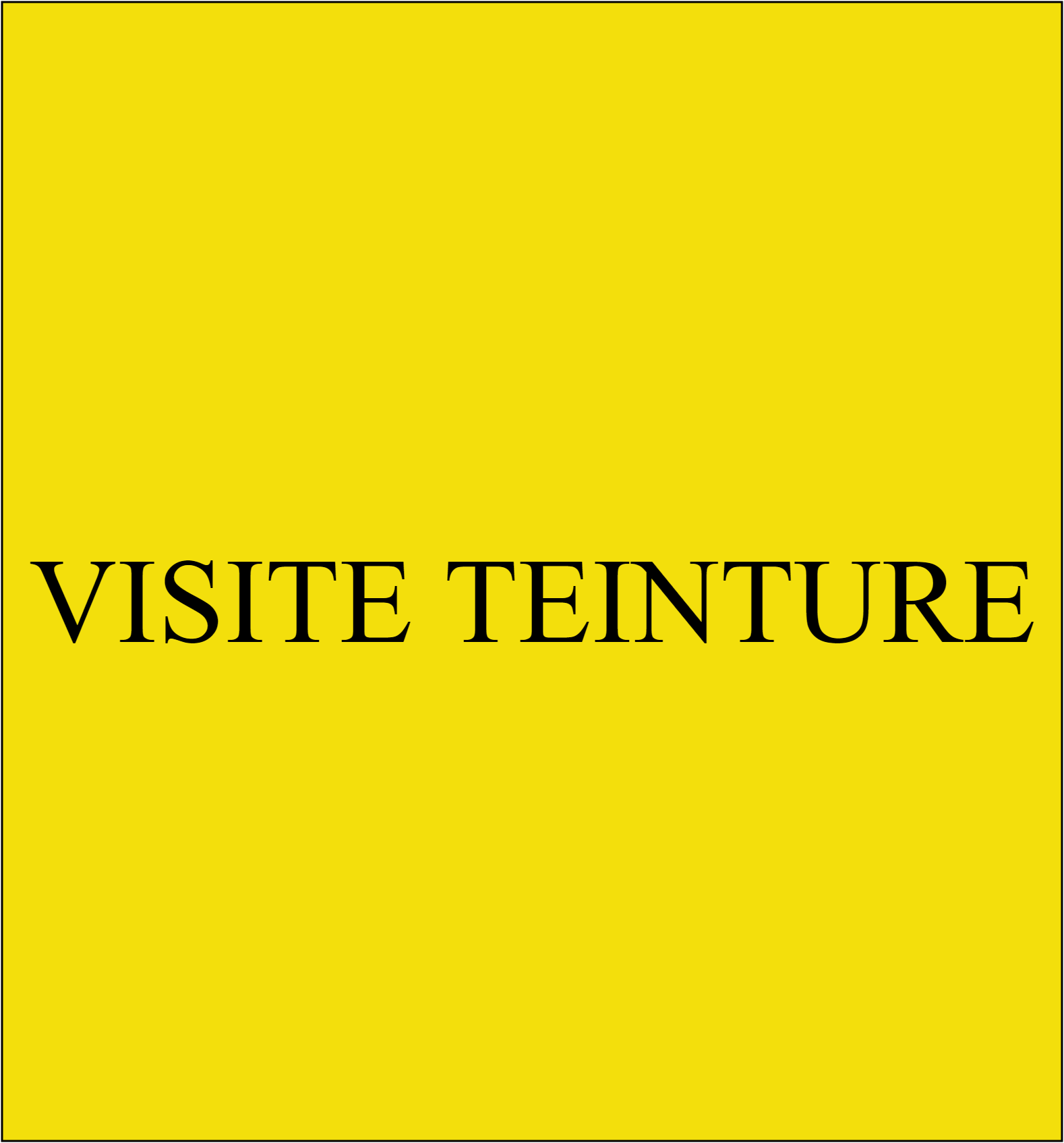 VISITE TEINTURE