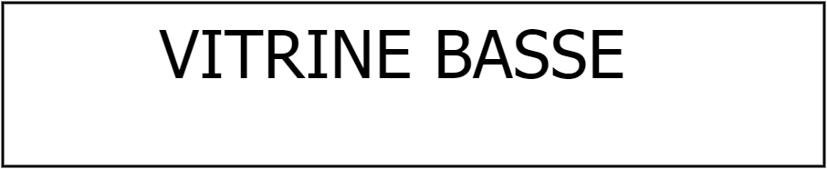 vitrine basse + rangement arr