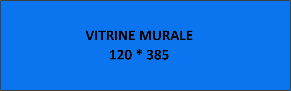 VITRINE MURALE 120 * 385