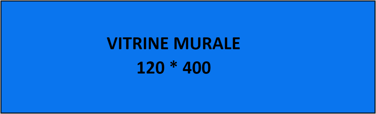 VITRINE MURALE 120 * 400