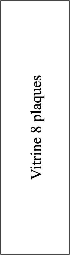 Vitrine 8 plaques