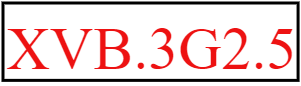 XVB3G2.5