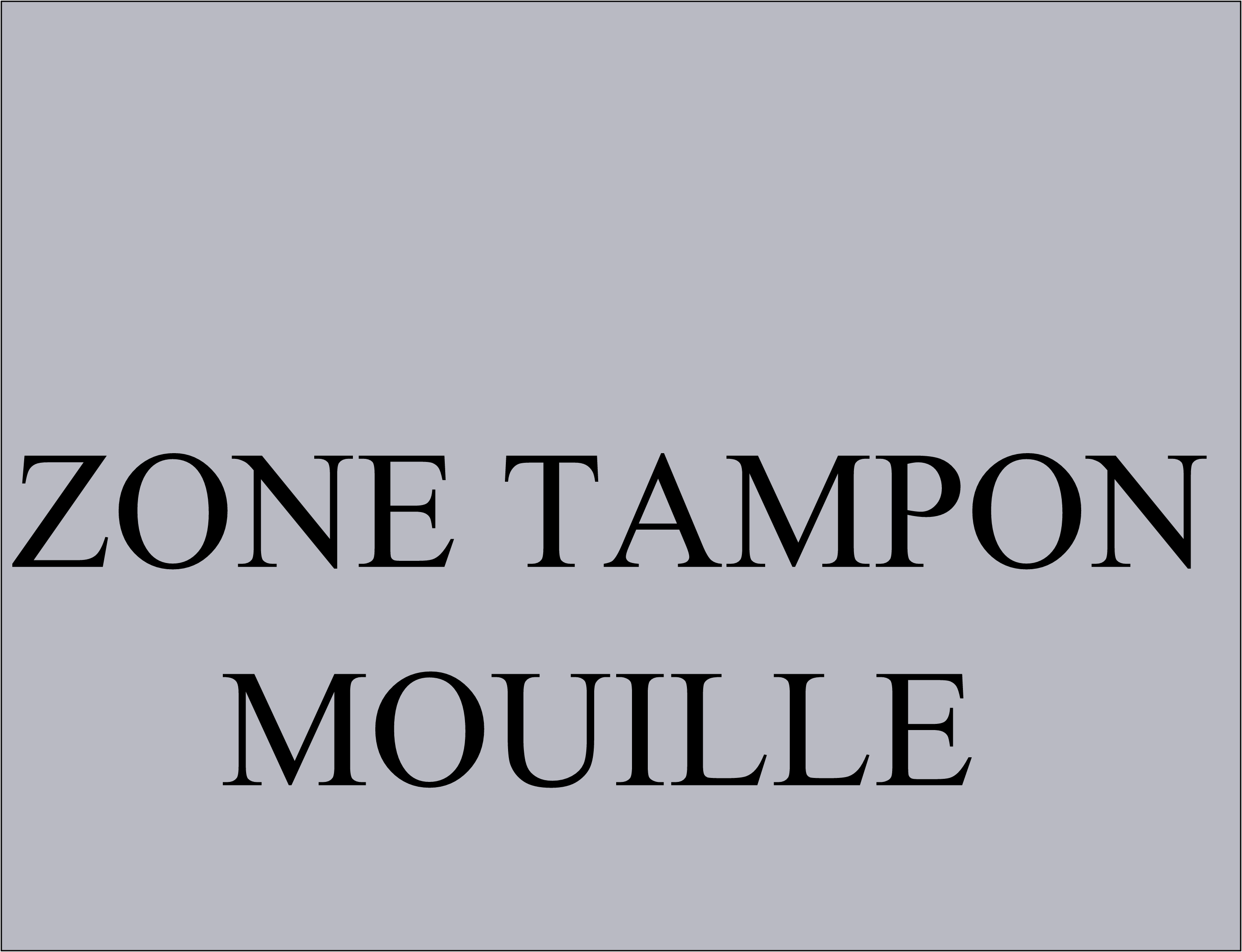 ZONE TAMPON RAME