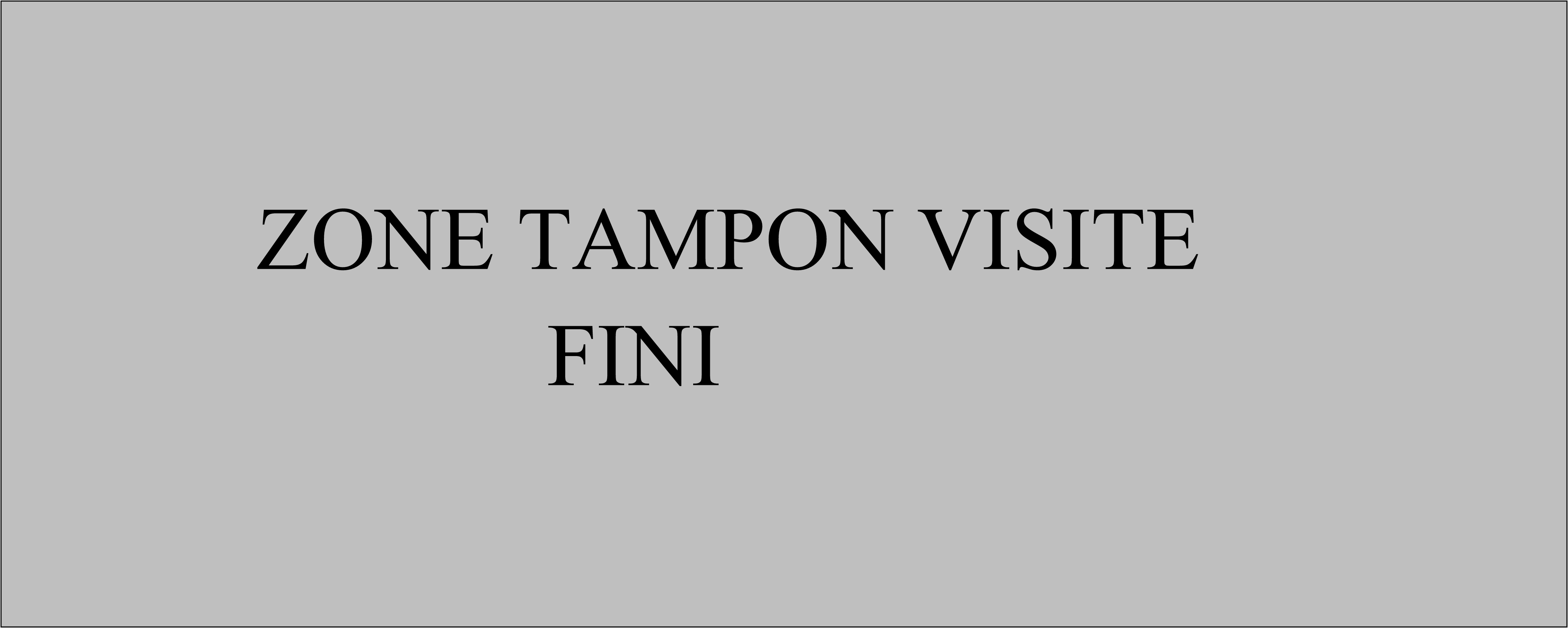 ZONE TAMPON VISITE FINI