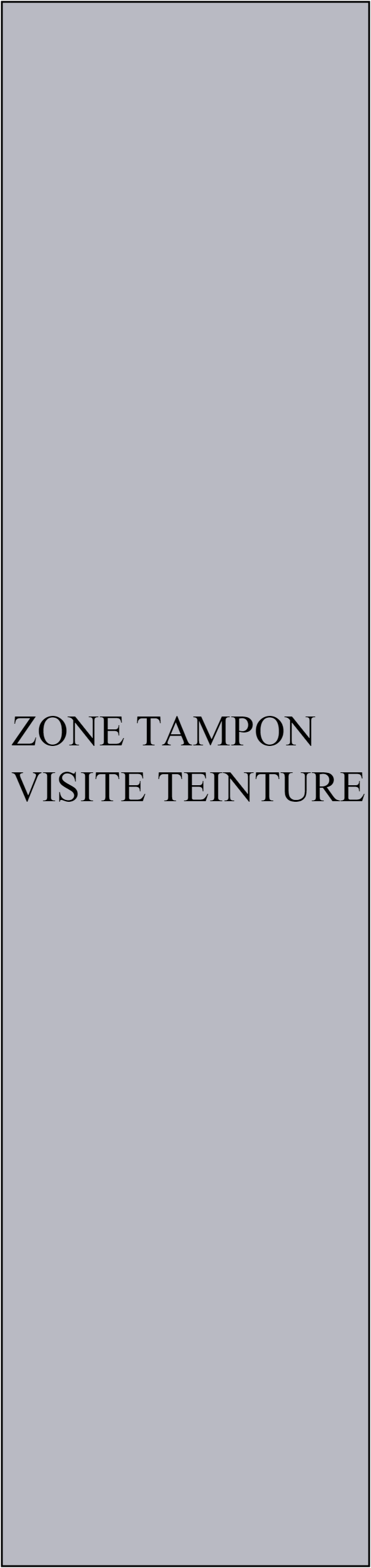 ZONE TAMPON VISITE TEINTURE