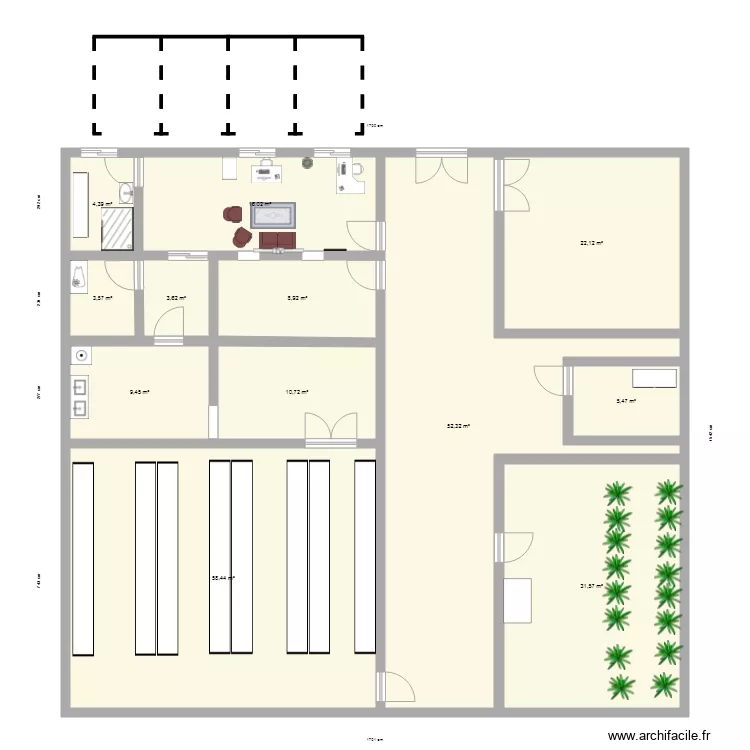 bio arandano. Planta de 